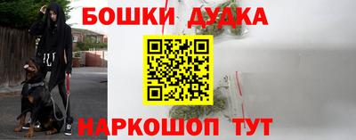 хмурый Дубна