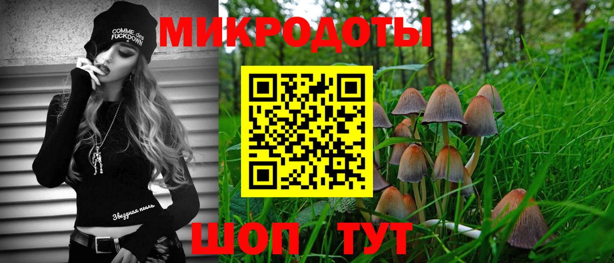 Галлюциногенные грибы Cubensis Муравленко