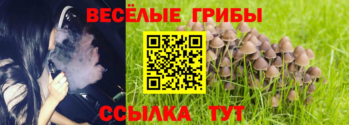 Галлюциногенные грибы мицелий  Вход с VPN  Муравленко 